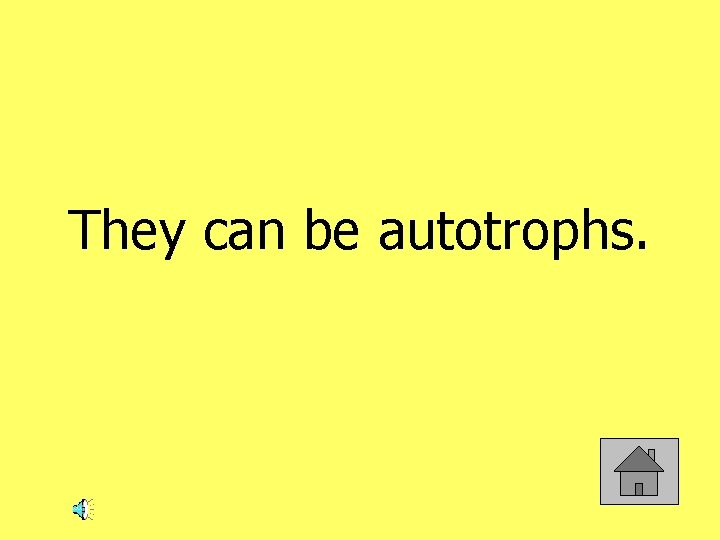 They can be autotrophs. 