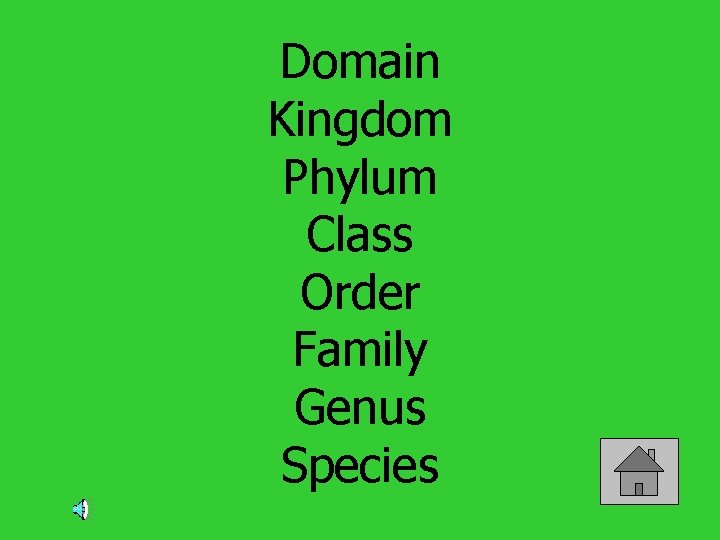 Domain Kingdom Phylum Class Order Family Genus Species 