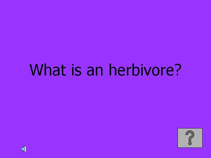 What is an herbivore? 