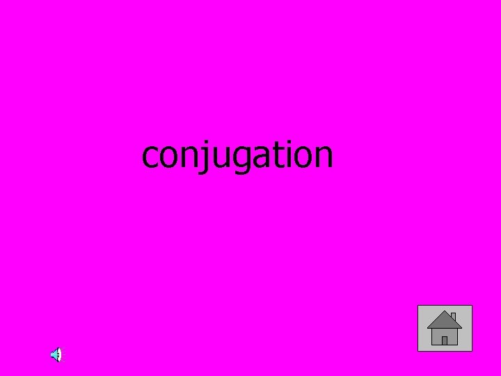 conjugation 