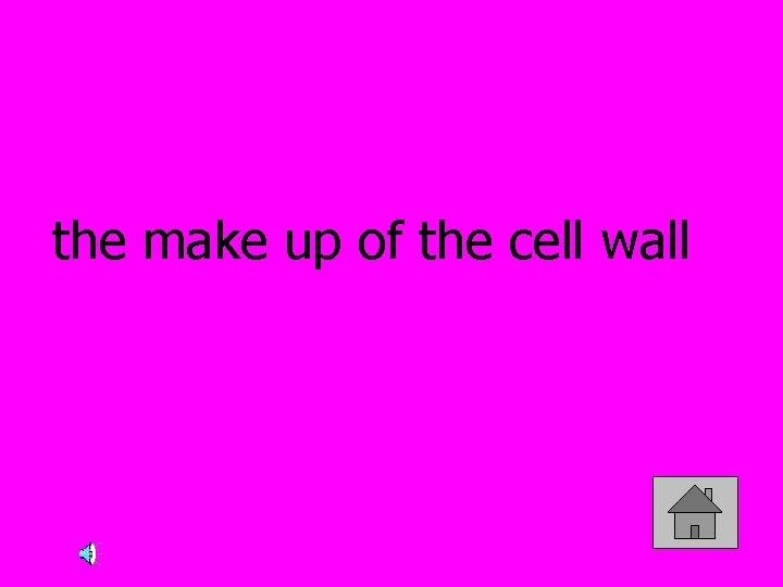 the make up of the cell wall 