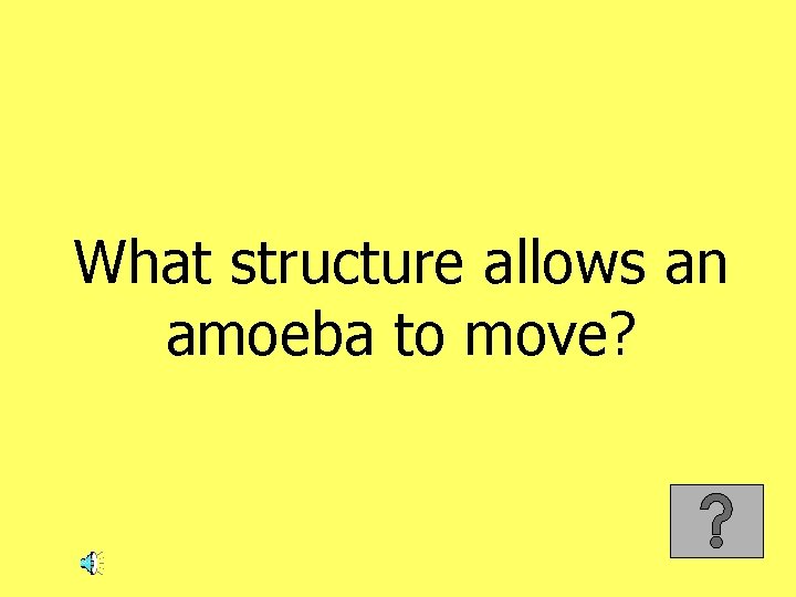 What structure allows an amoeba to move? 
