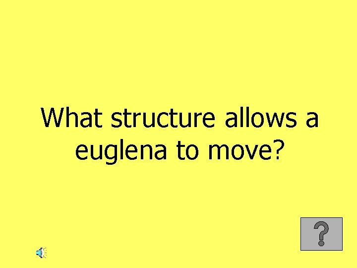 What structure allows a euglena to move? 