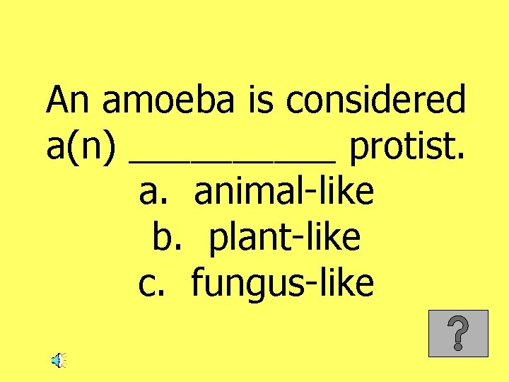 An amoeba is considered a(n) _____ protist. a. animal-like b. plant-like c. fungus-like 