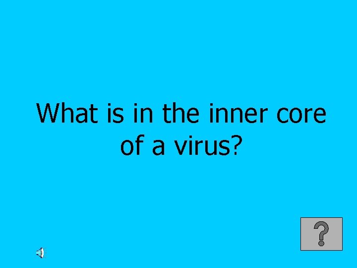 What is in the inner core of a virus? 