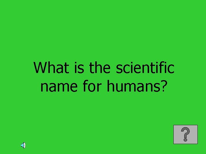 What is the scientific name for humans? 