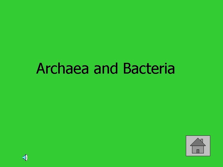 Archaea and Bacteria 