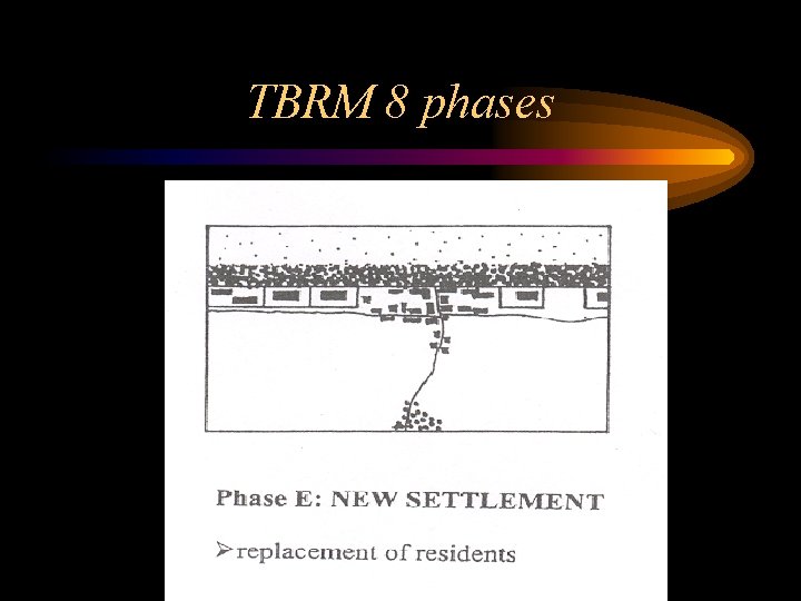 TBRM 8 phases TBRM 8 phases