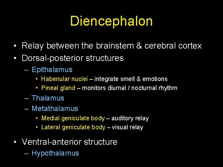 Diencephalon • Relay between the brainstem & cerebral cortex • Dorsal-posterior structures – Epithalamus