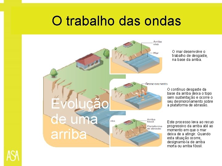 O trabalho das ondas O mar desenvolve o trabalho de desgaste, na base da