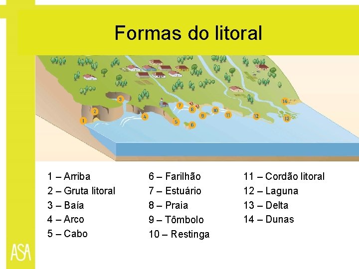 Formas do litoral 1 – Arriba 2 – Gruta litoral 3 – Baía 4