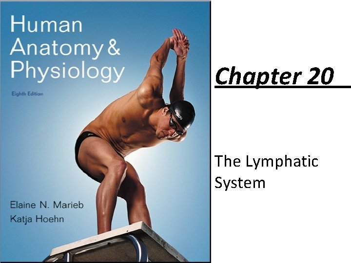 Chapter 20 The Lymphatic System 