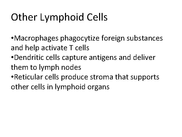 Other Lymphoid Cells • Macrophages phagocytize foreign substances and help activate T cells •