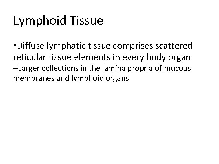 Lymphoid Tissue • Diffuse lymphatic tissue comprises scattered reticular tissue elements in every body