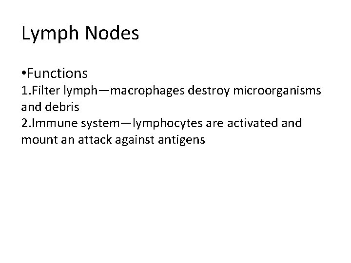 Lymph Nodes • Functions 1. Filter lymph—macrophages destroy microorganisms and debris 2. Immune system—lymphocytes
