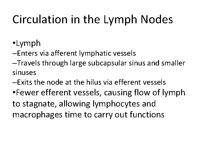 Circulation in the Lymph Nodes • Lymph –Enters via afferent lymphatic vessels –Travels through
