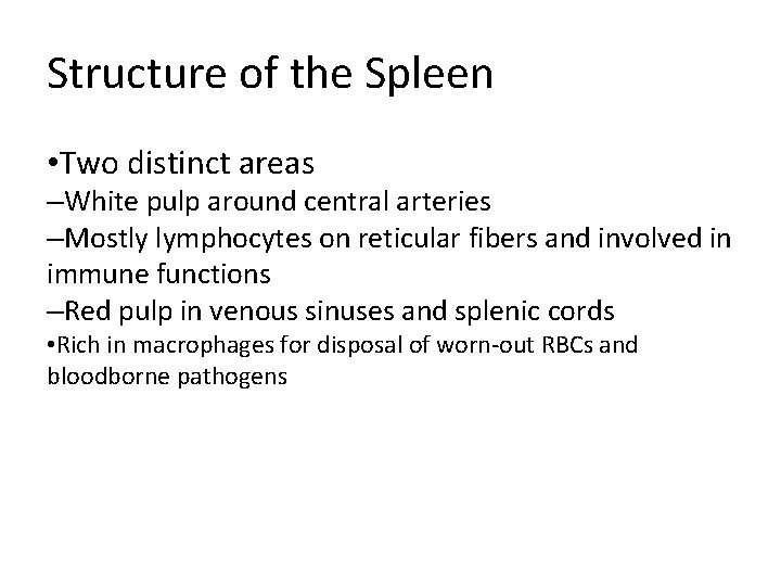 Structure of the Spleen • Two distinct areas –White pulp around central arteries –Mostly