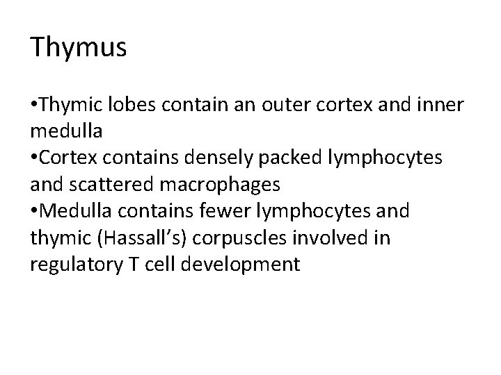 Thymus • Thymic lobes contain an outer cortex and inner medulla • Cortex contains