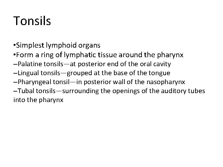 Tonsils • Simplest lymphoid organs • Form a ring of lymphatic tissue around the