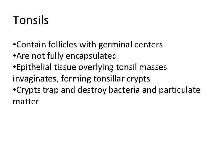 Tonsils • Contain follicles with germinal centers • Are not fully encapsulated • Epithelial
