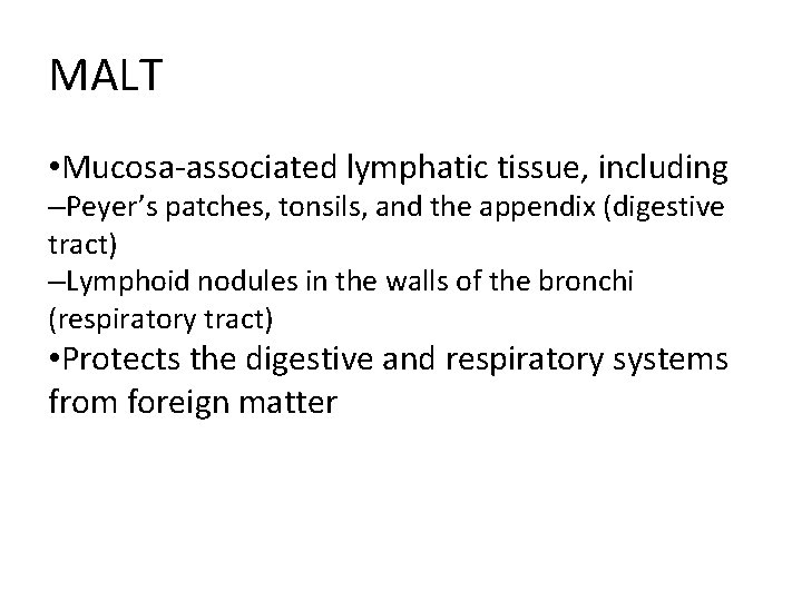 MALT • Mucosa-associated lymphatic tissue, including –Peyer’s patches, tonsils, and the appendix (digestive tract)
