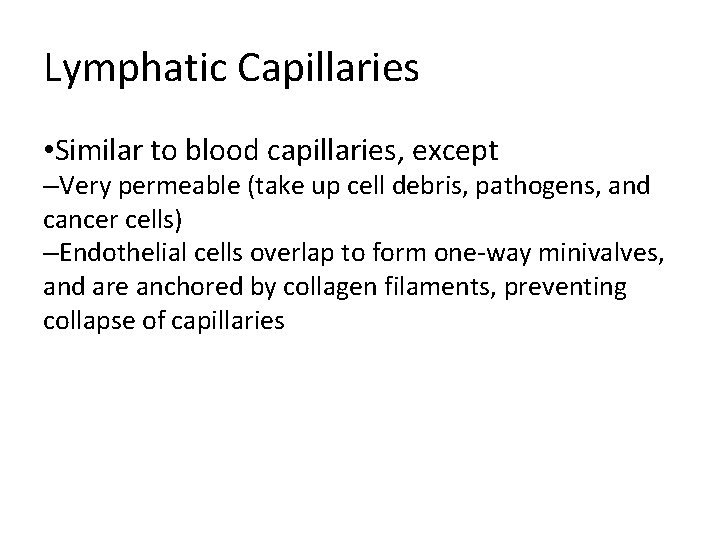 Lymphatic Capillaries • Similar to blood capillaries, except –Very permeable (take up cell debris,