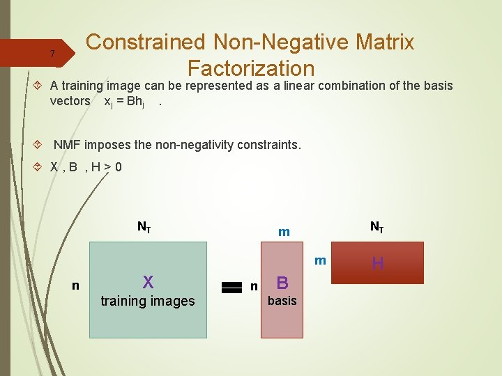 Constrained Non-Negative Matrix Factorization 7 A training image can be represented as a linear