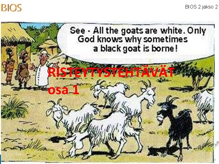 BIOS 2 jakso 2 RISTEYTYSTEHTÄVÄT osa 1 