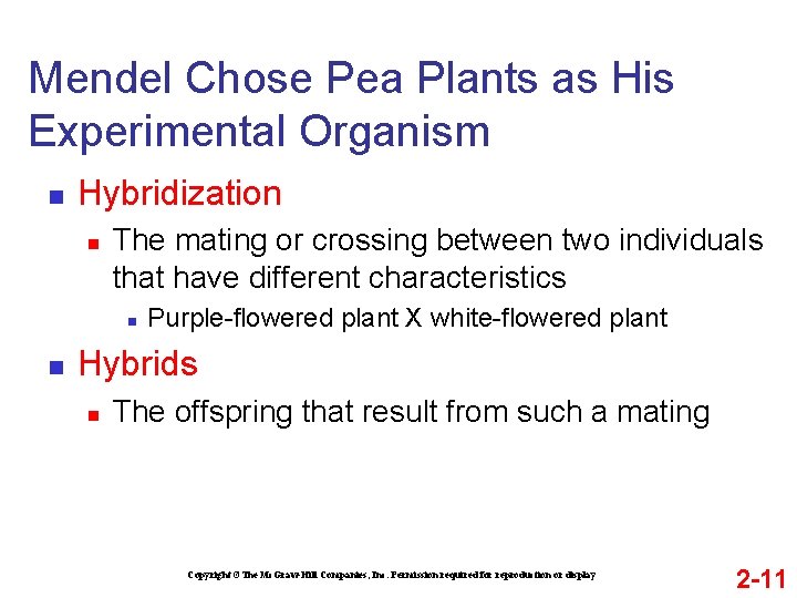 Mendel Chose Pea Plants as His Experimental Organism n Hybridization n The mating or
