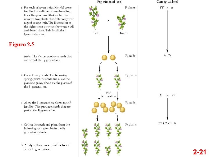 Figure 2. 5 2 -21 