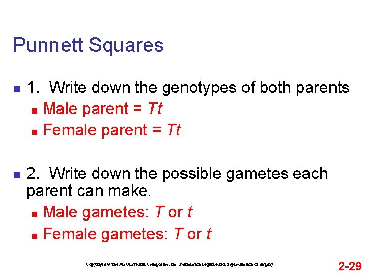Punnett Squares n n 1. Write down the genotypes of both parents n Male