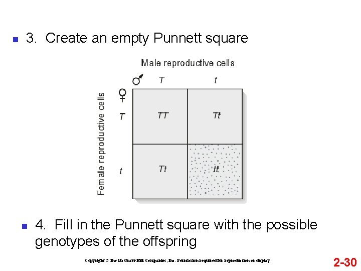 n 3. Create an empty Punnett square n 4. Fill in the Punnett square