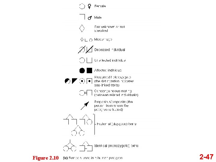 Figure 2. 10 2 -47 