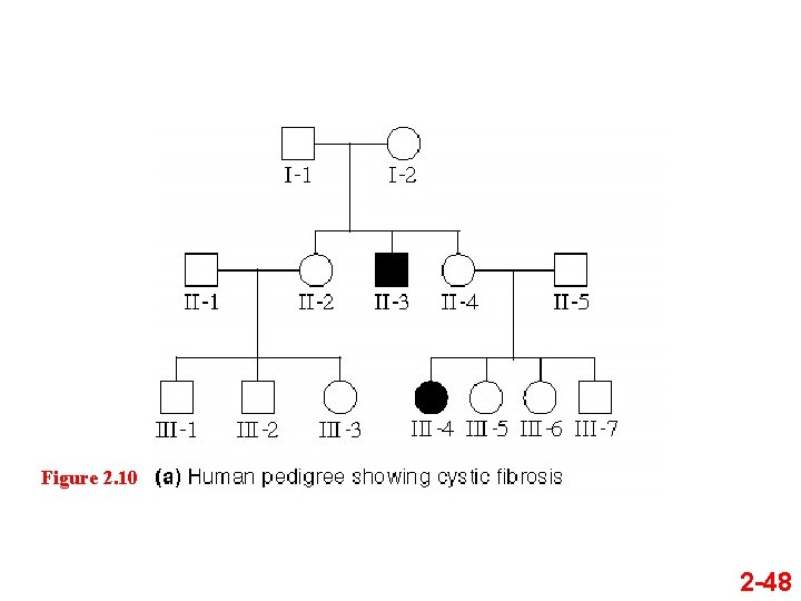 Figure 2. 10 2 -48 