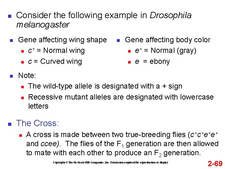 n n Consider the following example in Drosophila melanogaster Gene affecting wing shape +