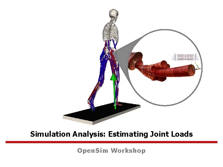 Simulation Analysis: Estimating Joint Loads Open. Sim Workshop 