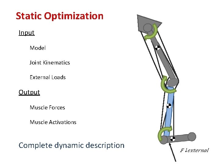 Static Optimization Input Model Joint Kinematics External Loads Output Muscle Forces Muscle Activations Complete