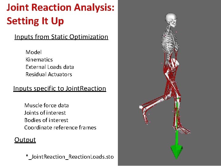 Joint Reaction Analysis: Setting It Up Inputs from Static Optimization Model Kinematics External Loads
