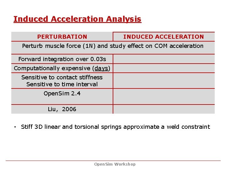 Induced Acceleration Analysis PERTURBATION INDUCED ACCELERATION Perturb muscle force (1 N) and study effect