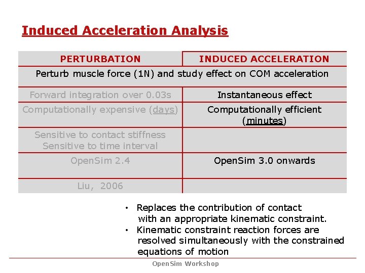Induced Acceleration Analysis PERTURBATION INDUCED ACCELERATION Perturb muscle force (1 N) and study effect