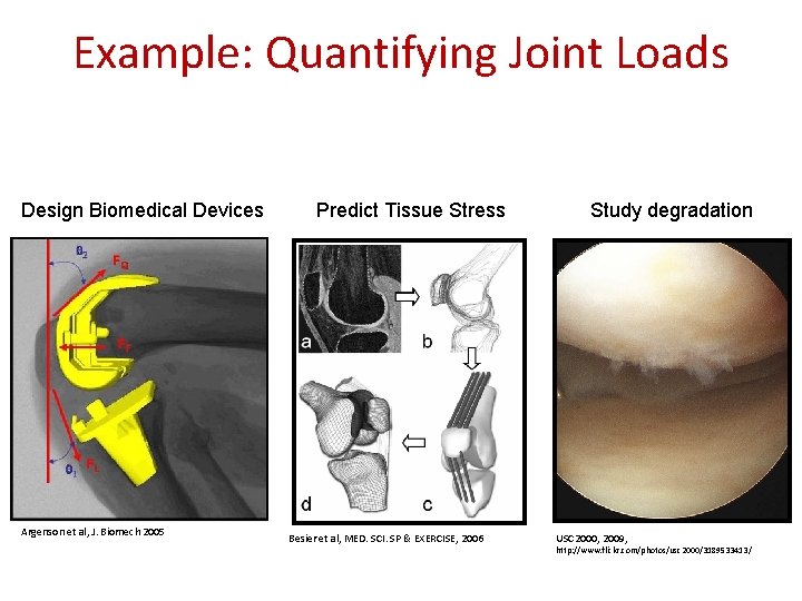 Example: Quantifying Joint Loads Design Biomedical Devices Argenson et al, J. Biomech 2005 Predict