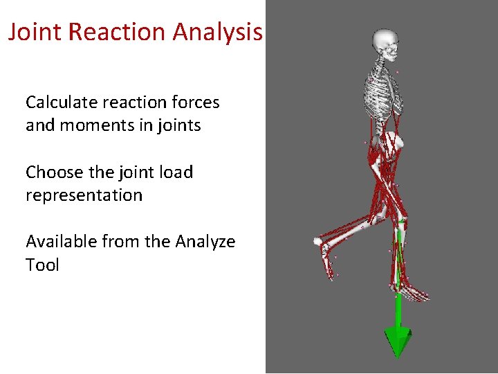 Joint Reaction Analysis Calculate reaction forces and moments in joints Choose the joint load