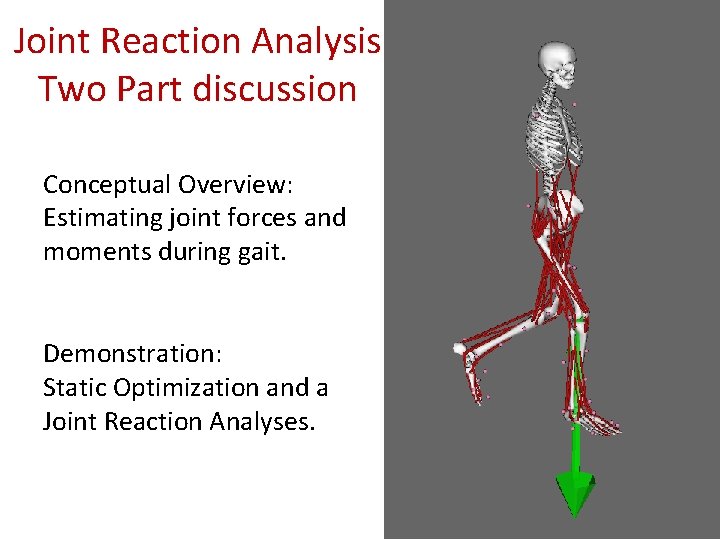 Joint Reaction Analysis Two Part discussion Conceptual Overview: Estimating joint forces and moments during