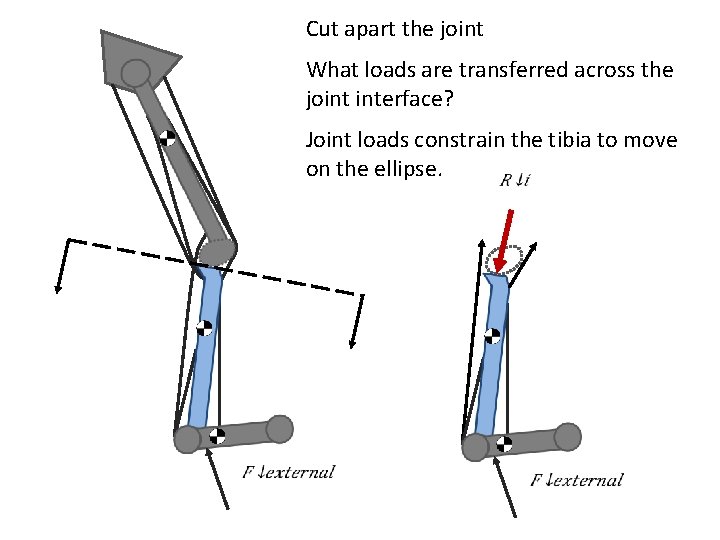 Cut apart the joint What loads are transferred across the joint interface? Joint loads