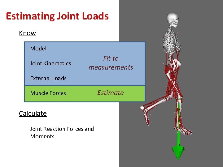 Estimating Joint Loads Know Model Joint Kinematics Fit to measurements External Loads Muscle Forces