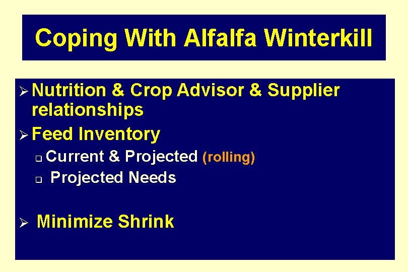 Coping With Alfalfa Winterkill Ø Nutrition & Crop Advisor & Supplier relationships Ø Feed
