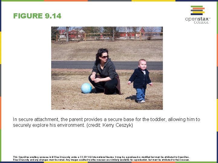 FIGURE 9. 14 In secure attachment, the parent provides a secure base for the FIGURE 9. 14 In secure attachment, the parent provides a secure base for the