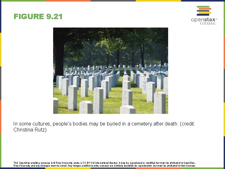 FIGURE 9. 21 In some cultures, people’s bodies may be buried in a cemetery FIGURE 9. 21 In some cultures, people’s bodies may be buried in a cemetery