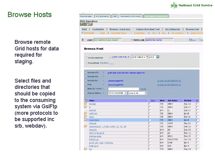 Browse Hosts Browse remote Grid hosts for data required for staging. Select files and