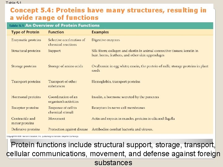 Table 5 -1 Concept 5. 4: Proteins have many structures, resulting in a wide